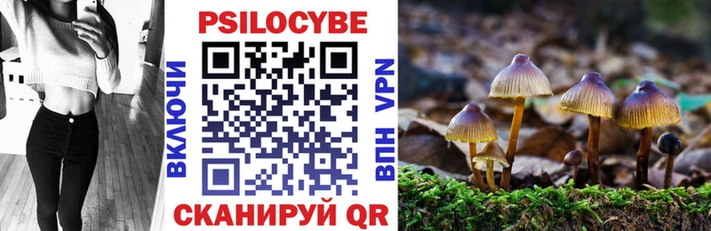 Галлюциногенные грибы Psilocybe  гидра рабочий сайт  Рубцовск 